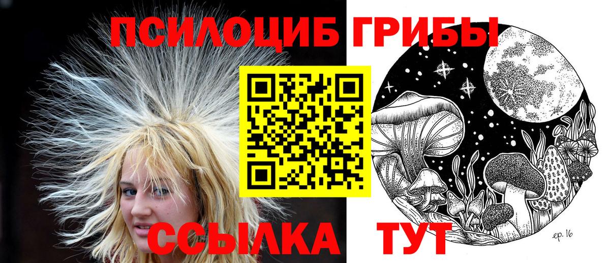 Галлюциногенные грибы Psilocybe  Вход с VPN  Псилоцибиновые грибы прущие грибы  Курчатов 
