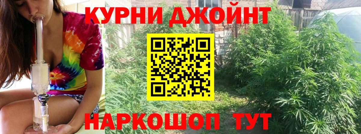 Курчатов  Бошки марихуана семена  Бошки марихуана OG Kush  Вход с VPN  Канабис White Widow 
